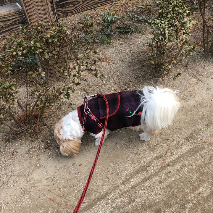 6123eb9f d904 468b 8ef9 37e85ff4f158 1607550256751