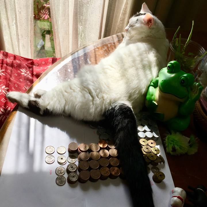 6123f7af 1dd9 446d 8d8f be1a36d23102 1570072579514