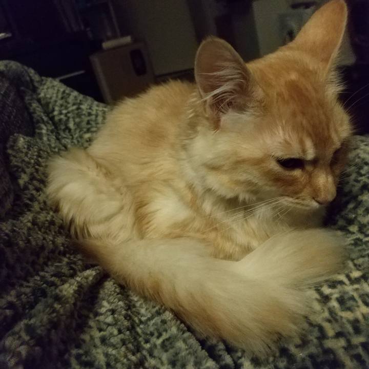 6123fa28 0645 4665 93ba 088666965bbb 1613943629484