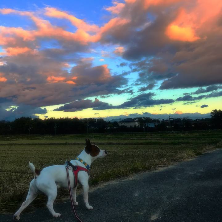 61240450 968f 455e bda9 a72f273ac12d 1512141444197