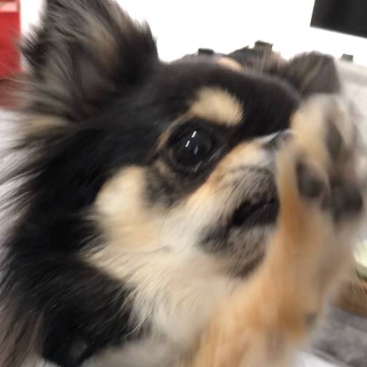 61241423 ea25 46e9 ba97 a793e4eaa97f 1585294897686