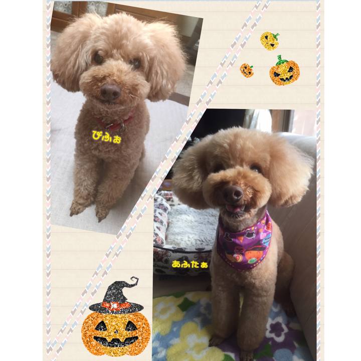 61242f80 be2e 497b 98ef 6672b29ebcf1 1540447654124