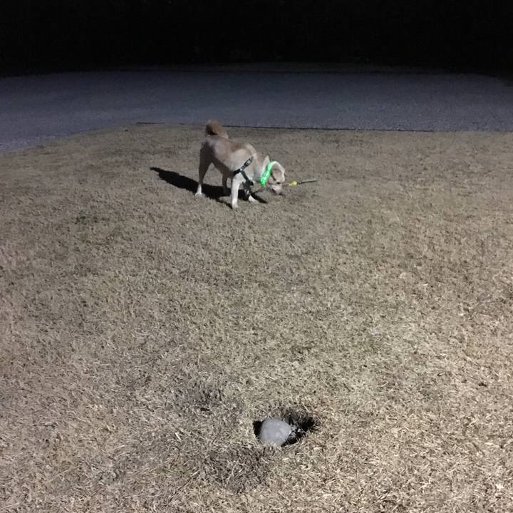 61243703 e9a7 4b86 85a3 a5d2e7197cb1 1520951984074