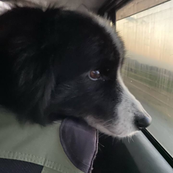 6124475b 75c8 4eed 9330 489ef0ff7973 1676326682793