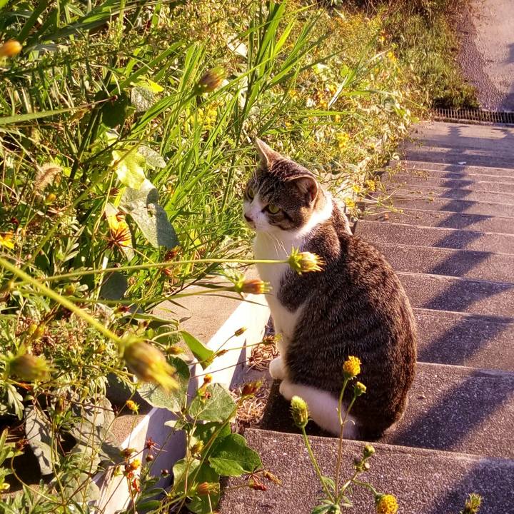 61244f0b d894 4d59 8cbf ab908aae863b 1509408573992