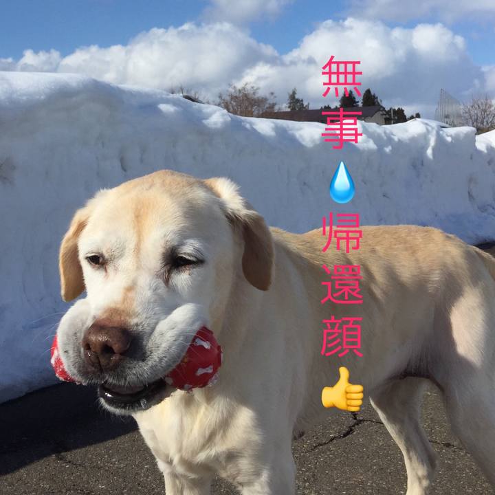 61245b70 db78 4ed4 a4ae 0e4c6d4c9d09 1517721565089