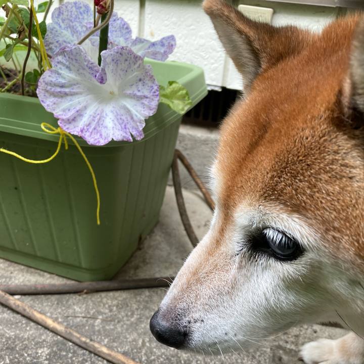 61247449 8bbe 4b80 927d 9a0ffdf59d91 1726459194761