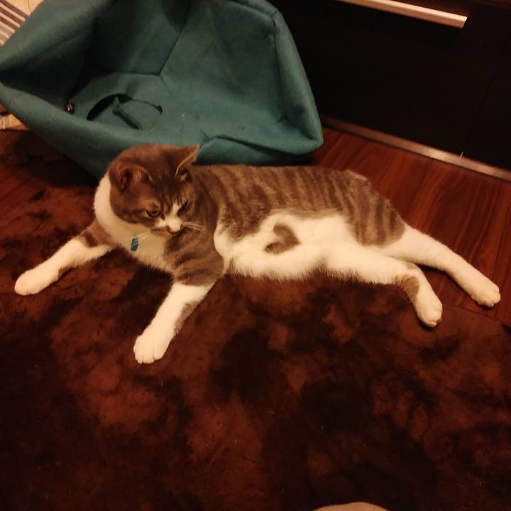 61248532 8115 4f40 974e b0562f27eced 1583488170254