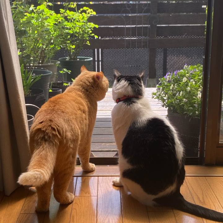 61248fd8 5950 441c 82fc e1ee19cad873 1713329708808