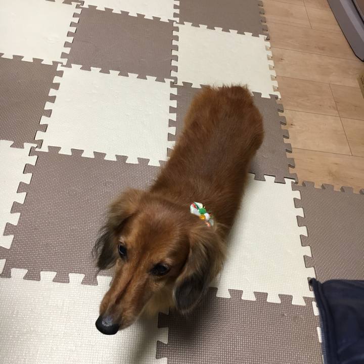 612494c7 0ea7 41ee 8d59 17a45004b17c 1545746524770