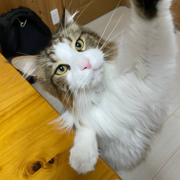 6124a4b4 94cc 42c5 9e15 efb8826cbb20 1678913037567