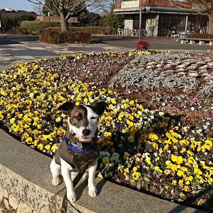 6124a88a eca1 4c10 beca f077bc763010 1519890924979