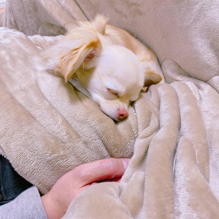 6124f1fd 027a 4a26 819a e209b3f6766f 1640502231012