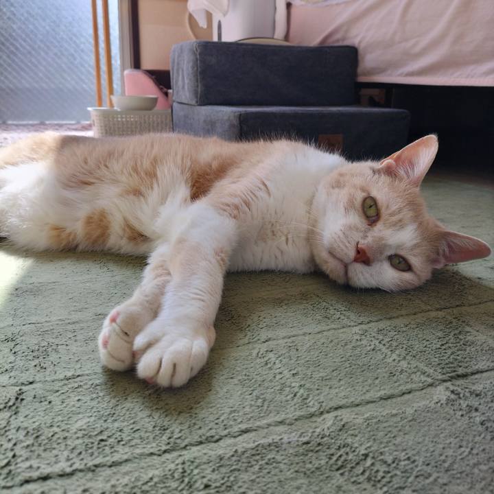 612507d2 7385 4812 9fb2 bd96a7666970 1651967374707