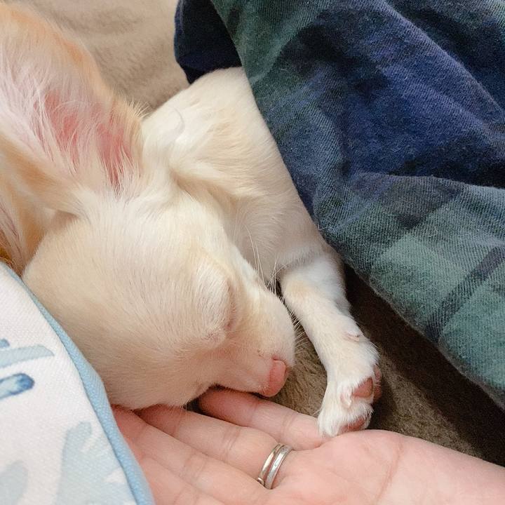 61251f3e d30d 40f6 be36 a90ef4602ddf 1595989995822