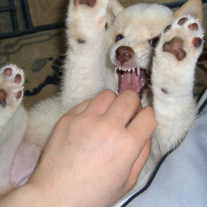 61251f6e 2350 4fb4 9eaa 819483962d97 1637589853243