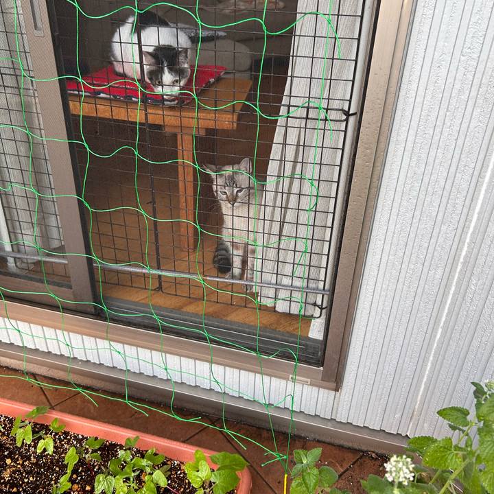 61257b5f e6f0 415e 848a 452b70212b86 1751317661168