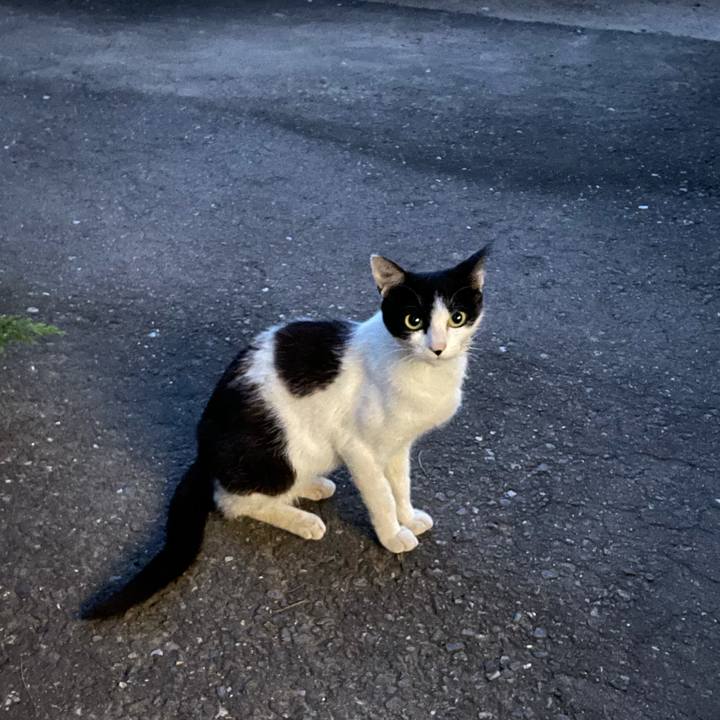 61257fb4 70de 4bdf ba6e 22f316094469 1627124271142