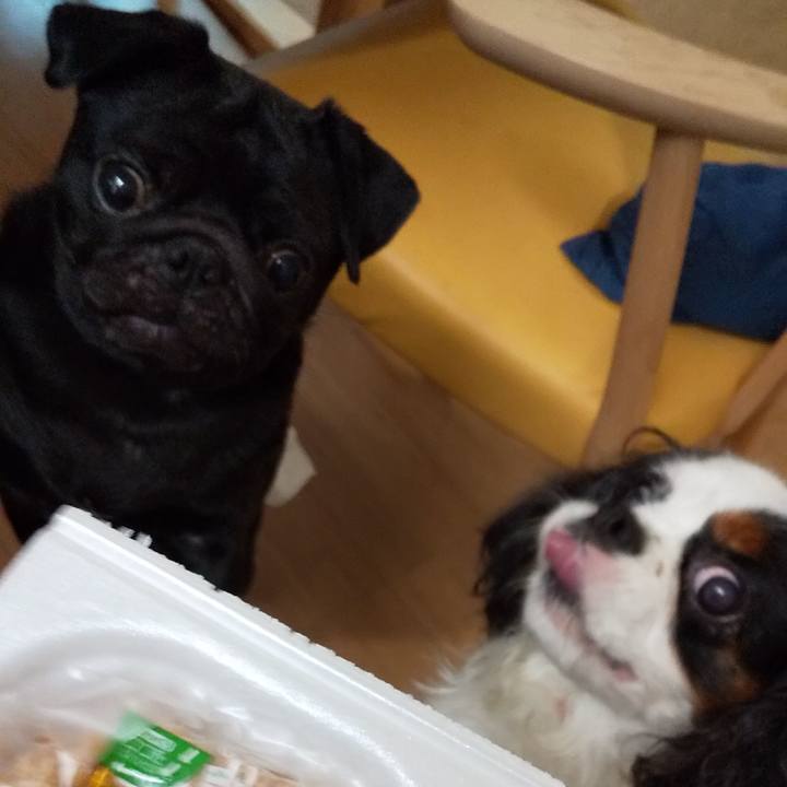 61258222 e17b 4051 acc4 b289213f390b 1567134283517