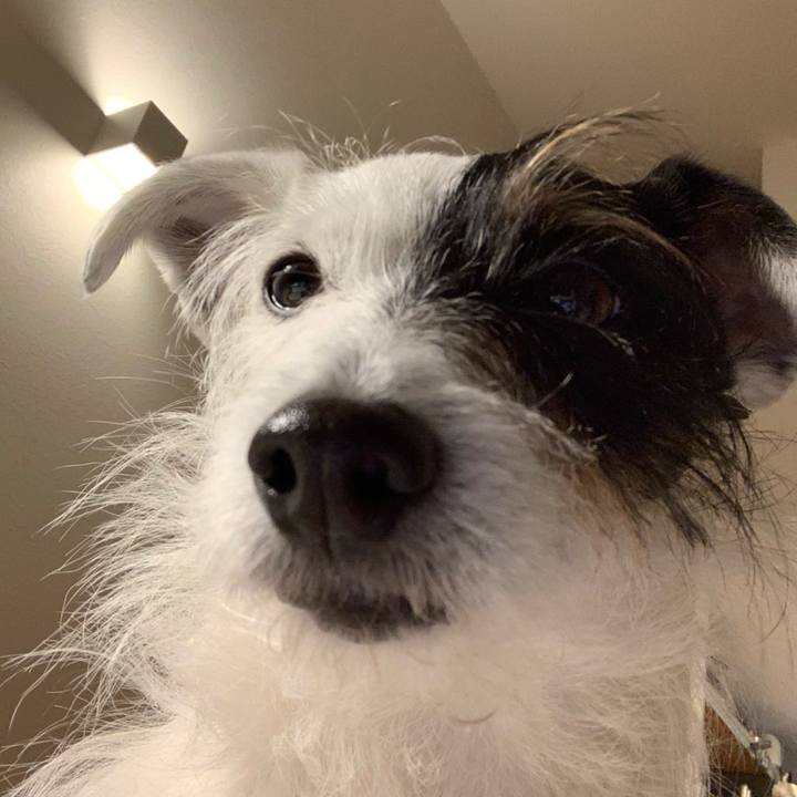 6125d66c 21bd 48ae 80d9 be3b4efeaa2a 1613225731440