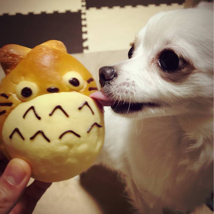 6125da64 6361 4ba7 8f8c 37506d06f2a5 1525190430874