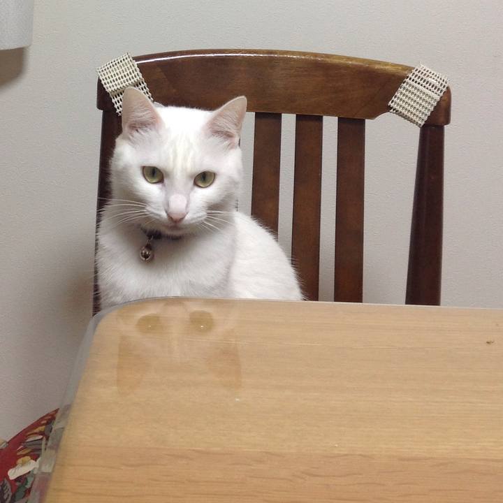 6125ebb0 8cd5 47ad b562 496059935044 1642552522240