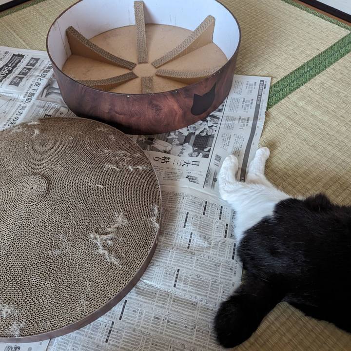 6125fa22 9852 4501 8f37 9ac81d7743de 1695021908270