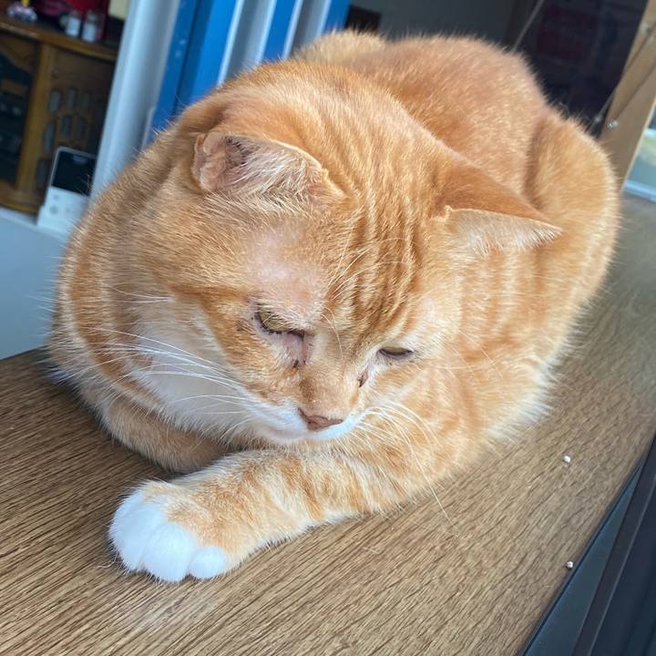 6125fb0e 4508 45d6 81eb 2402c276a926 1624147314554