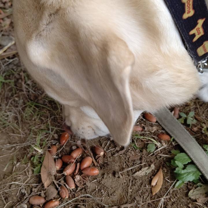 612631de 31af 4d67 9c83 b90a2c3ecc5b 1604199352470