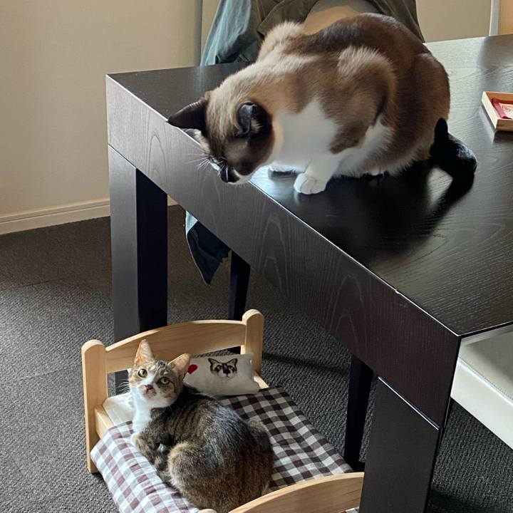 61267082 5c3e 4210 a5a6 e56f89485d41 1593731053659