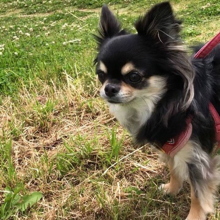 61267ffa cba8 429a bf4b 0381378c7ef6 1590207271556