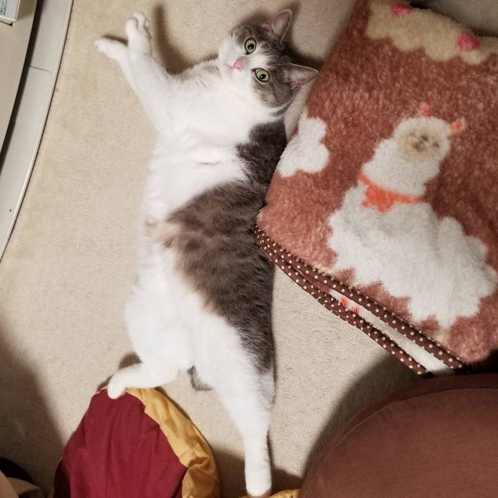 6126957a b872 4264 b8f6 a3a420aab2ad 1535619621506