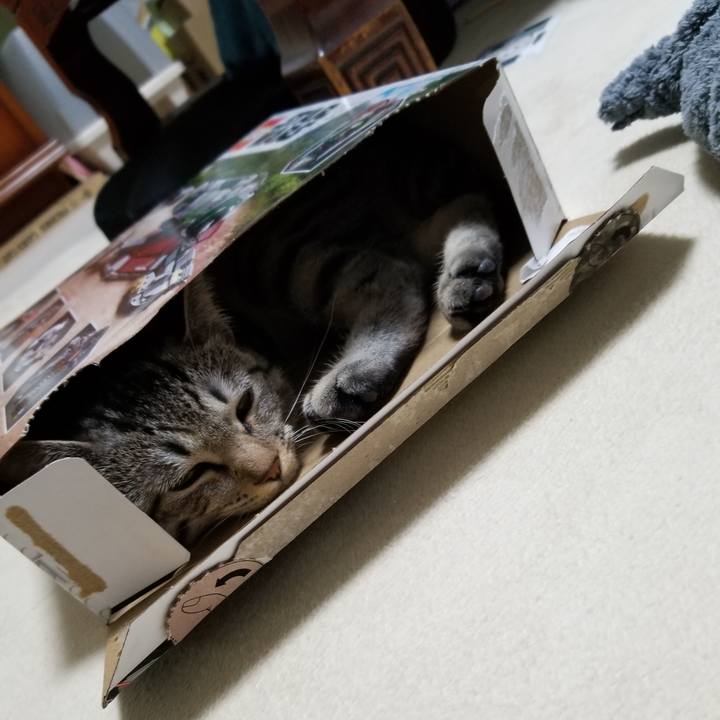 6126c294 95c5 4913 ba5e ba7aa304c0cb 1671919783633