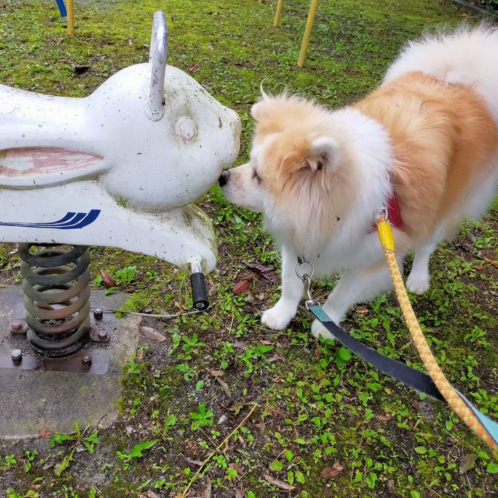 6126cb4b 89be 4856 9f22 53413da5fb9a 1624191259902