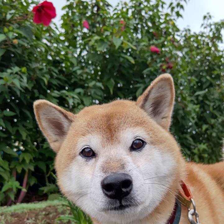 61271ce7 a278 489a 9d55 962cb91dc9e6 1602749398076