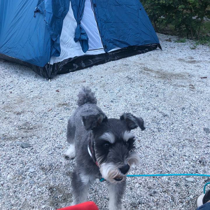 6127aaa4 952b 4b69 994b 3049a8020200 1568449875364