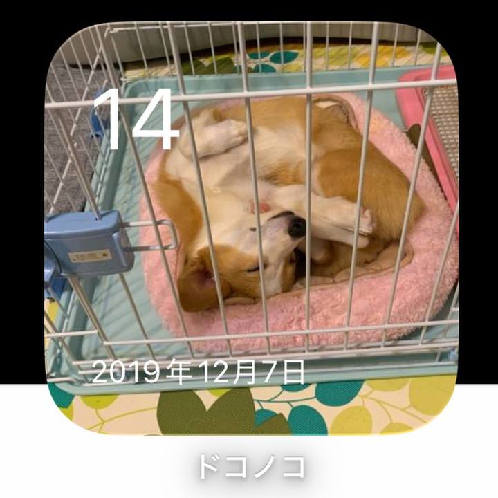 6127db0e 8baa 4a9a 8ac0 1a8bee71c613 1765667678719