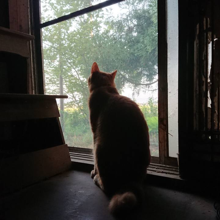 6127e78a 7a2e 441b 9a5b 1bde862f74be 1662327025760