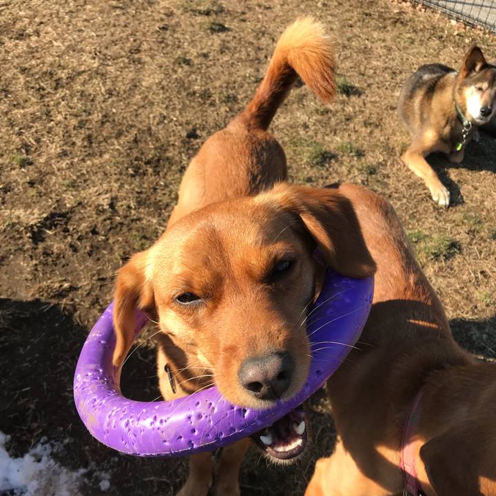 61284592 a24d 4ce3 9209 5e4eba721880 1517292224344