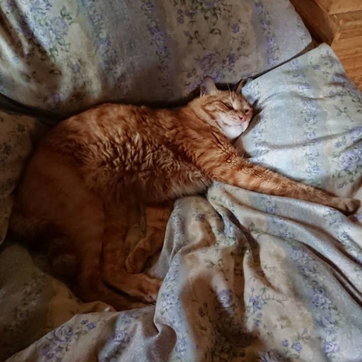 612898d1 ab24 4f30 875f 8e6cec8078c2 1658454563011