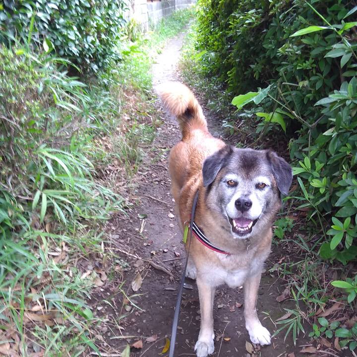 6128a43c 3717 42f5 9f57 eac032e44c6d 1562801219279