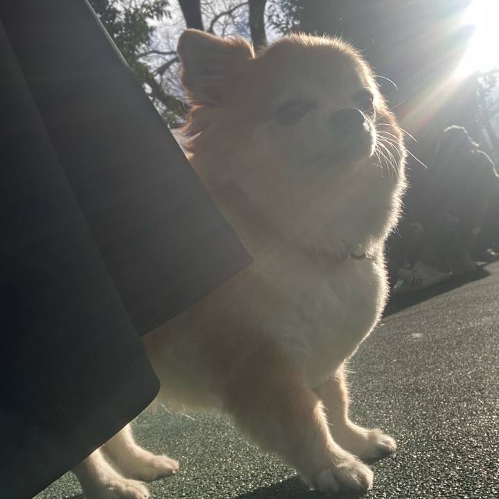 6128a66e 4e3f 4e16 a550 cc8a68fb2d26 1772171601886