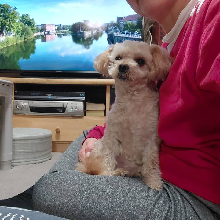 6128f1e8 0404 4fc2 a389 5c8c599e0095 1667469302177