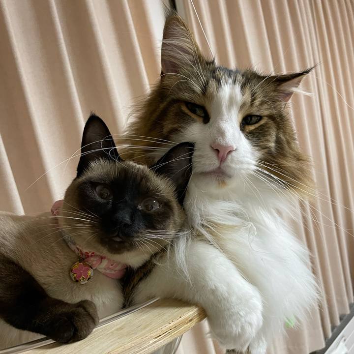 61290717 3896 42b0 9215 203d56241c01 1713209350266