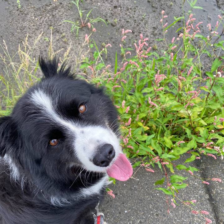 61292170 e0c8 4deb 83d2 ee50f21d454d 1594255641929