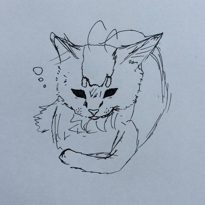 61292718 f4e0 4912 8ac8 43c18b368bf7 1570323376672