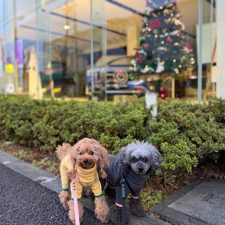 612965c8 61bd 4e99 9949 8cdc1e956410 1765323898979