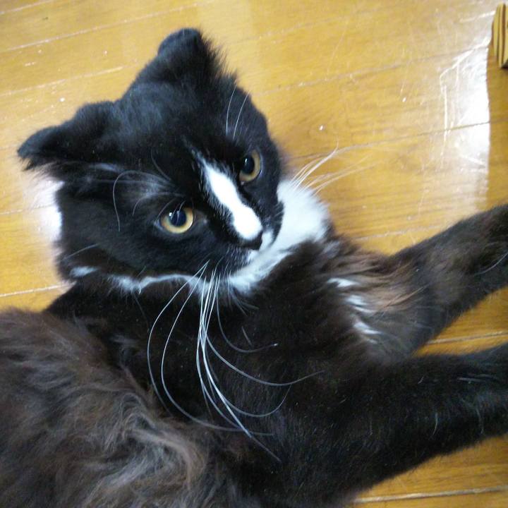 6129c864 11e3 4441 8f7f 66bcc556c46c 1645193096186