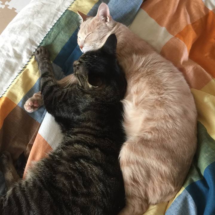 6129dd94 a2e5 4759 bec5 48188300eb8e 1549905107068