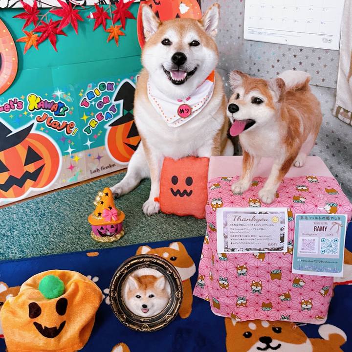 6129df18 6a2b 47c2 b6ac 1a86e8482016 1695869043061